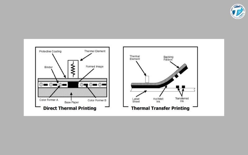 Máy in Xprinter sử dụng công nghệ in nhiệt trực tiếp và gián tiếp